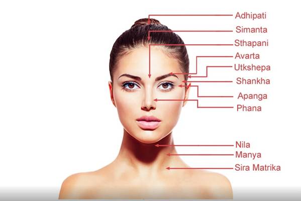 Marma Therapy · Vital Point Touch